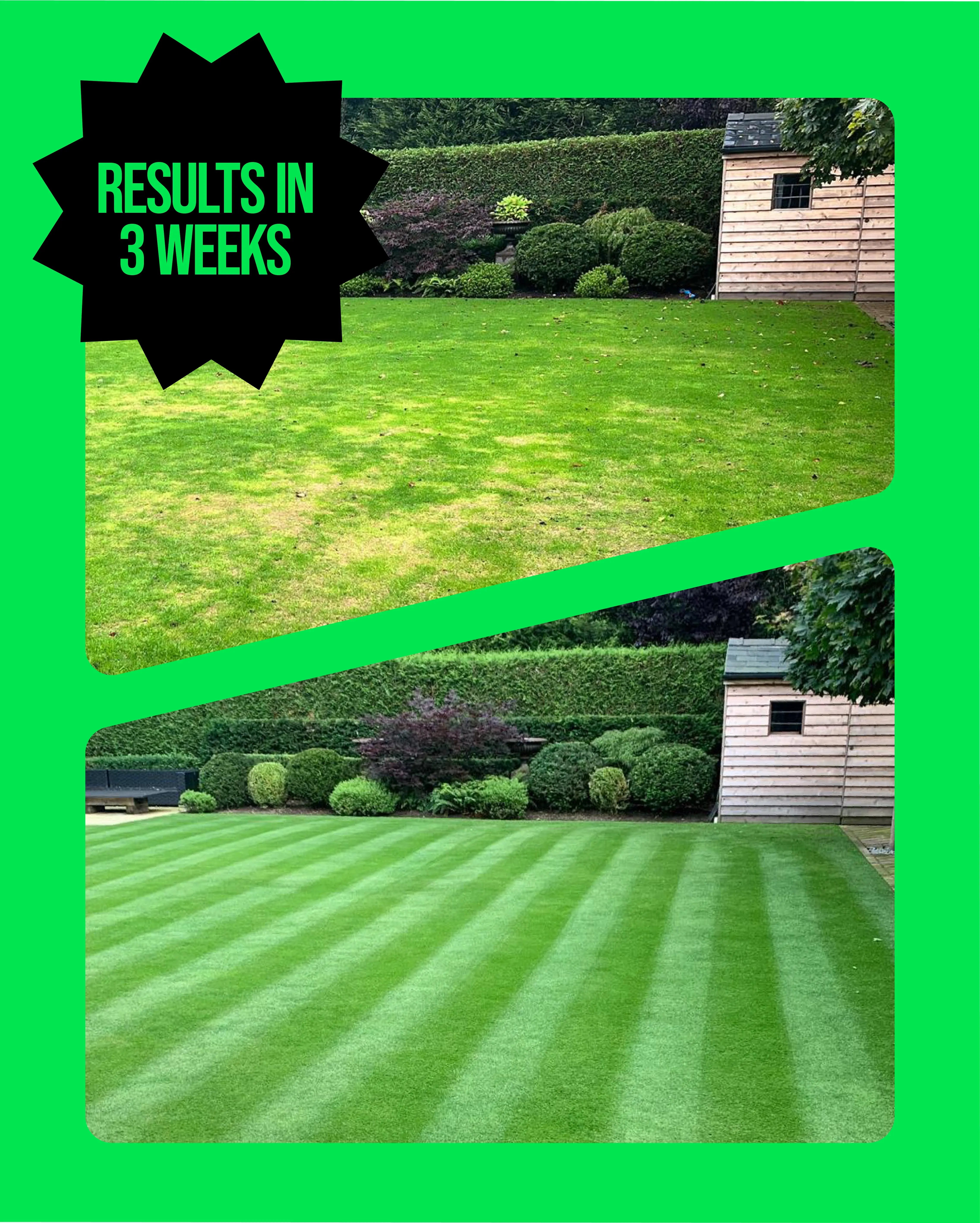 The Complete Guide to the Lawn Care Subscription Box in the UK (2026)