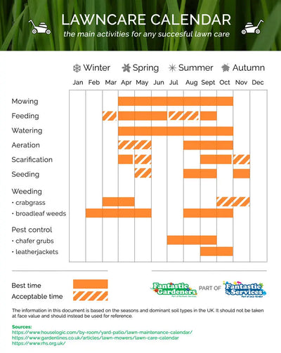 Your Simple Winter Lawn Calendar: What to Do Now Until Spring GREENER
