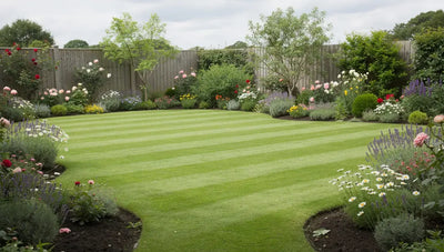 Green Lawn Mowing: How to Mow for a Thicker, Greener UK Lawn