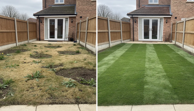 Lawn Feed With Seed: How to Thicken, Repair and Revive Your Lawn (UK guide)