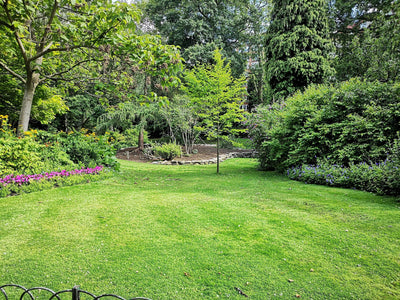 DIY Lawn Kit vs Garden Centre: Which Option Delivers the Best Results?